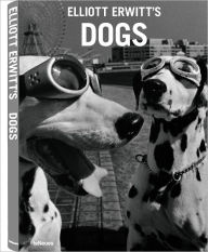 Elliott Erwitt's Dogs