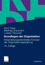 Grundlagen der Organisation: Entscheidungsorientiertes Konzept der Organisationsgestaltung