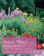 Welche Pflanze passt wohin?: Die besten Arten für den Garten