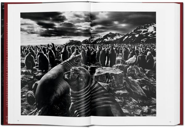 Sebastião Salgado. Genesis