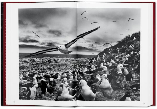 Sebastião Salgado. Genesis