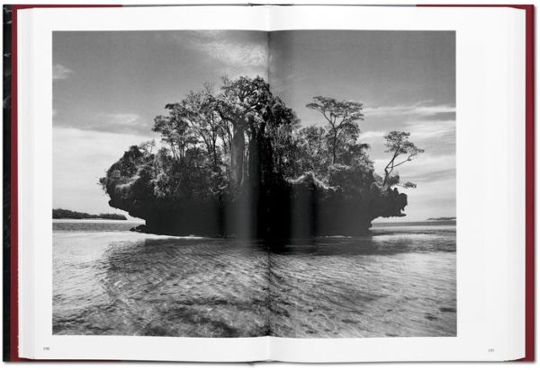 Sebastião Salgado. Genesis