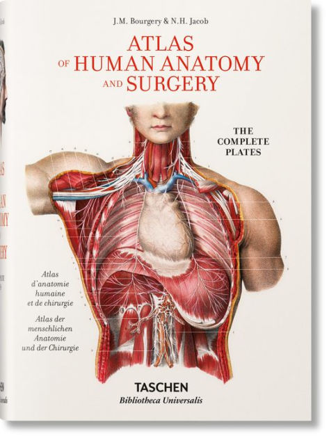 【希少医学専門書】Atlas of Urosurgical Anatomy Amazon.com: Hinman's Atlas of UroSurgical Anatomy E-Book: Expert