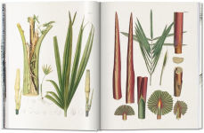 Alternative view 3 of Martius. The Book of Palms