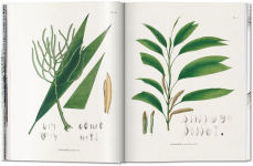 Alternative view 4 of Martius. The Book of Palms