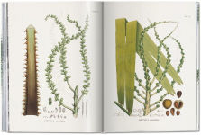 Alternative view 7 of Martius. The Book of Palms