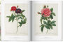 Alternative view 4 of Redouté. The Book of Flowers