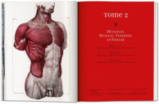 Alternative view 4 of Bourgery. Atlas of Human Anatomy and Surgery
