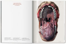 Alternative view 5 of Bourgery. Atlas of Human Anatomy and Surgery