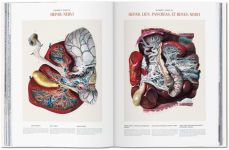 Alternative view 7 of Bourgery. Atlas of Human Anatomy and Surgery