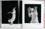 Alternative view 3 of Walter Chandoha. Cats. Photographs 1942-2018