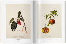 Alternative view 6 of A Garden Eden. Masterpieces of Botanical Illustration