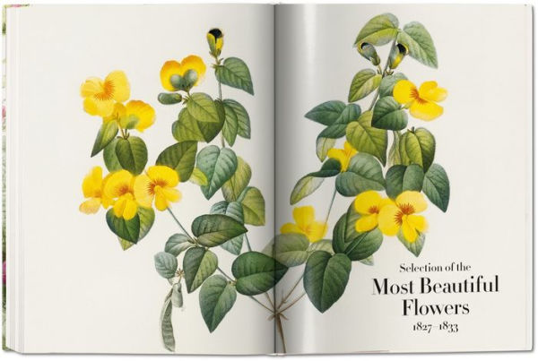 The Book of Flowers