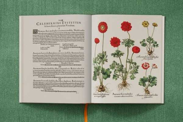 Basilius Besler. The Garden at Eichstätt