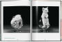 Alternative view 6 of Walter Chandoha. Cats. Photographs 1942-2018