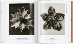 Alternative view 2 of Karl Blossfeldt. The Complete Published Work. 40th Ed.