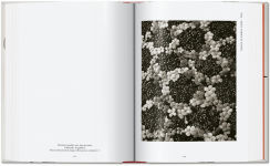 Alternative view 3 of Karl Blossfeldt. The Complete Published Work. 40th Ed.