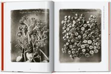 Alternative view 4 of Karl Blossfeldt. The Complete Published Work. 40th Ed.
