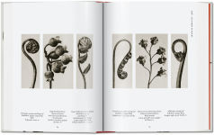 Alternative view 5 of Karl Blossfeldt. The Complete Published Work. 40th Ed.