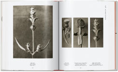 Alternative view 6 of Karl Blossfeldt. The Complete Published Work. 40th Ed.