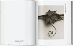 Alternative view 7 of Karl Blossfeldt. The Complete Published Work. 40th Ed.