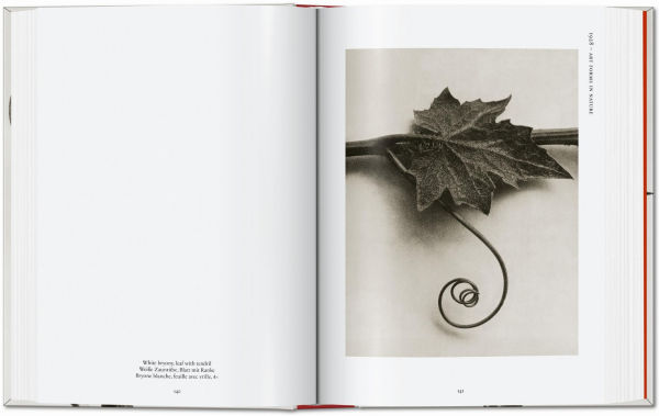 Karl Blossfeldt. The Complete Published Work. 40th Ed.