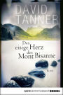 Das eisige Herz des Mont Bisanne: Kriminalroman