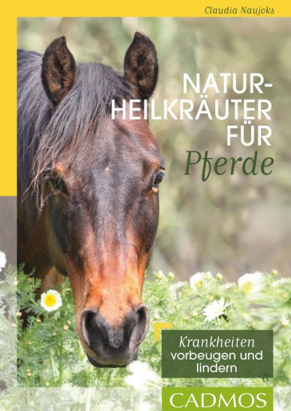 Naturheilkräuter für Pferde: Kranhheiten vorbeugen und lindern