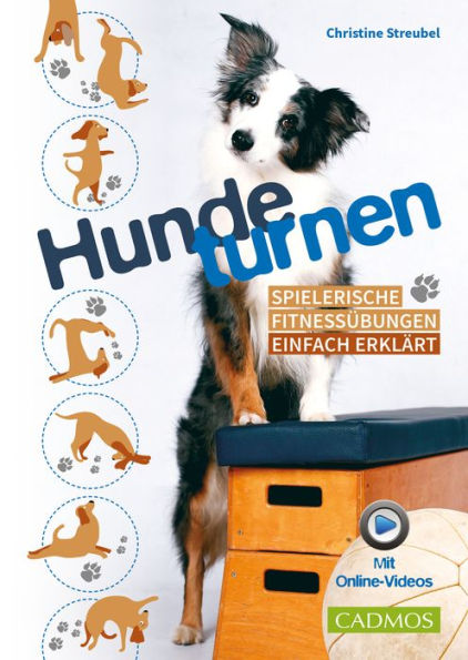 Hundeturnen: Spielerische Fitnessübungen einfach erklärt