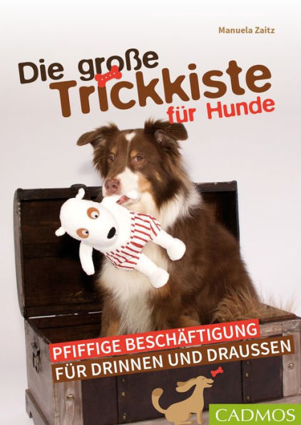 Die große Trickkiste für Hunde: Pfiffige Beschäftigung für drinnen und draußen