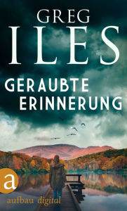 Title: Geraubte Erinnerung, Author: Greg Iles