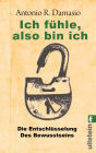 Ich fühle, also bin ich: Die Entschlüsselung des Bewusstseins