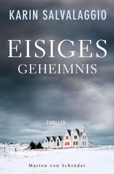 Eisiges Geheimnis: Thriller