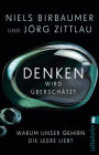 Denken wird überschätzt: Warum unser Gehirn die Leere liebt