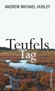 Title: Teufels Tag: Roman, Author: Andrew Michael Hurley