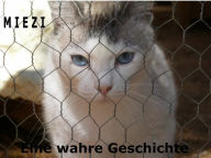 Title: Miezi - Eine wahre Katzengeschichte: Wie alles begann..., Author: Judith Cramer
