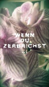 Title: Wenn du zerbrichst, Author: Franziska Wild