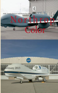 Title: Northrop Color: Germany 2013, Author: Relly Victoria Petrescu