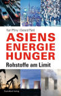 Asiens Energiehunger: Rohstoffe am Limit
