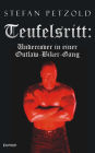 Teufelsritt: Undercover in einer Outlaw Motorcycle Gang