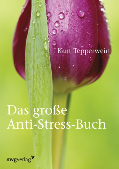 Das große Anti-Stress-Buch