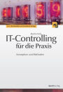 IT-Controlling für die Praxis: Konzeption und Methoden