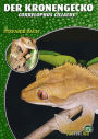Der Kronengecko: Rhacodactylus Ciliatus