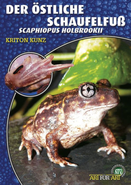 Der Östliche Schaufelfuß: Scaphiopus holbrookii