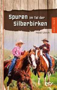 Title: Spuren im Tal der Silberbirken: Band 3, Author: Heidi Ulrich