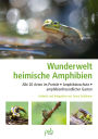 Wunderwelt heimische Amphibien: Alle 20 Arten im Porträt, Amphibienschutz, amphibienfreundlicher Garten