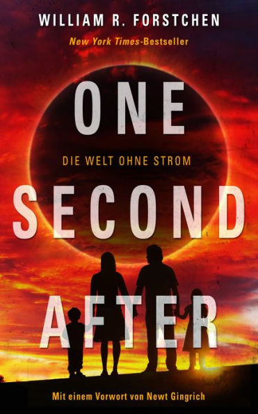 One Second After (German-language Edition)