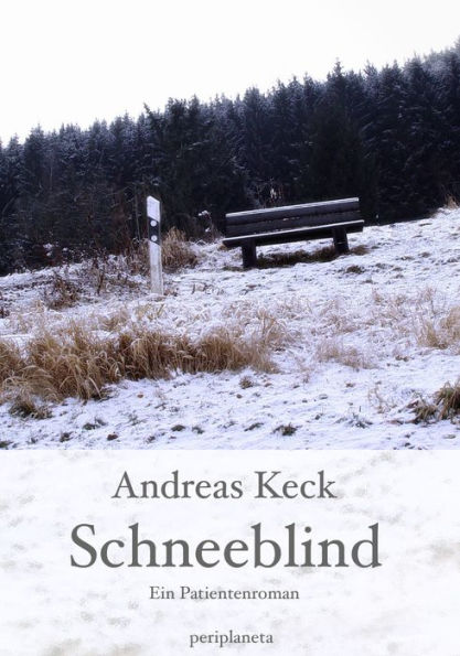 Schneeblind: Ein Patientenroman