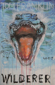 Title: Wilderer, Author: Tom Franklin
