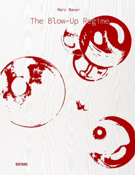 The Blow-Up Regime: (English / German Edition)